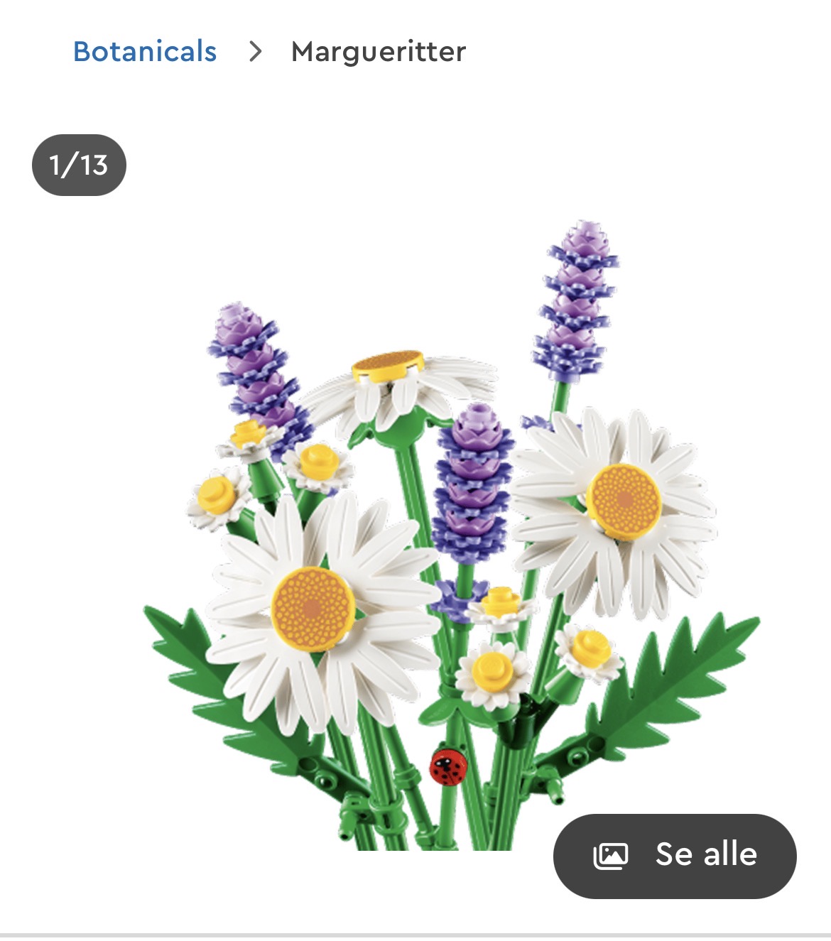 Billede